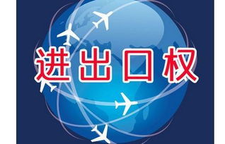 上海外貿(mào)公司如何辦理進(jìn)出口權(quán)資質(zhì)申請與廣告設(shè)計業(yè)務(wù)拓展